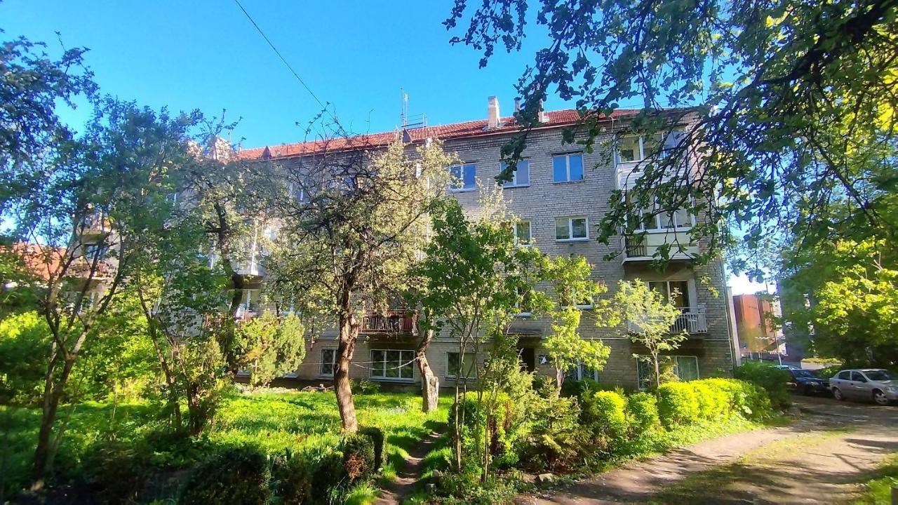 Trendy Old Town Area - Paupys Nature Treat Apartment Вильнюс Экстерьер фото